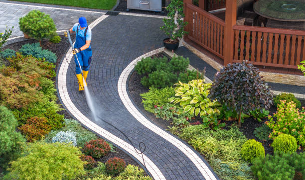 Best Roof Power Washing Services  in Elizabeth City, NC