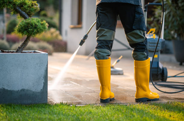 Best Residential Pressure Washing Services  in Elizabeth City, NC